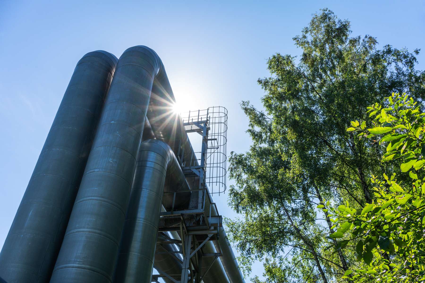 Environment and Governance