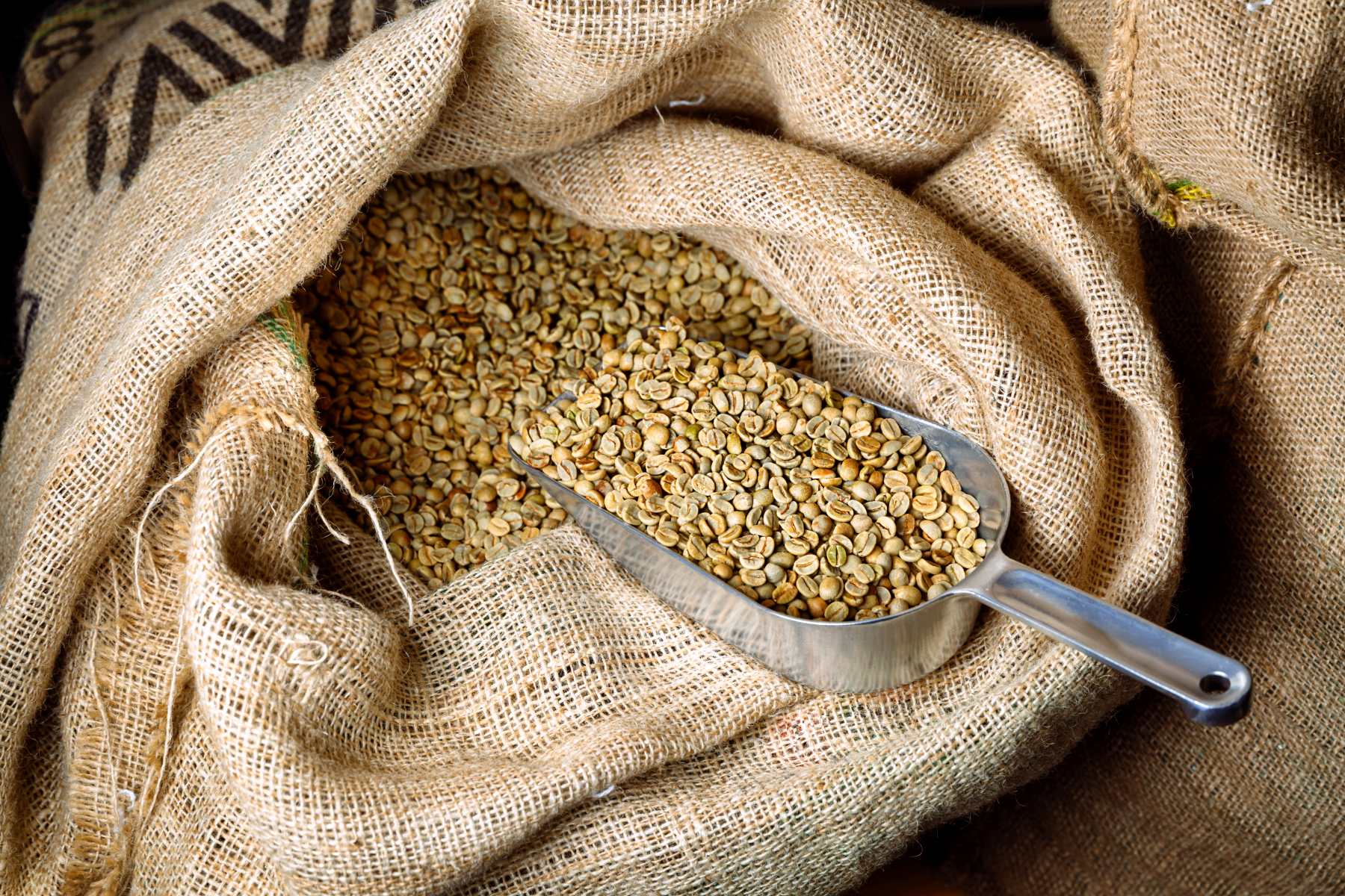 Why Green Coffee Traders Need a Smarter Operating System