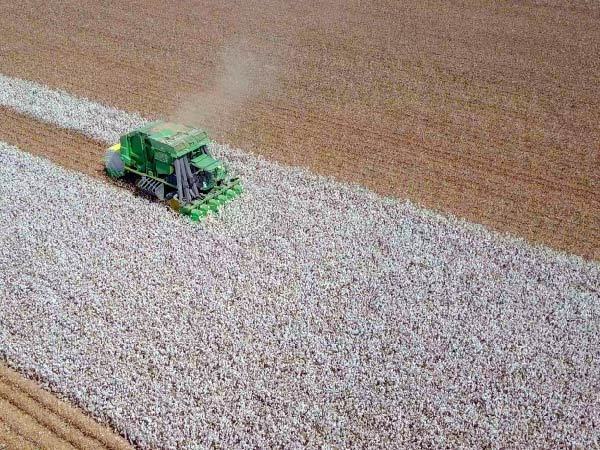 Managing cotton logistics beyond “Ags and Softs CTRM” – Gen 10 ...